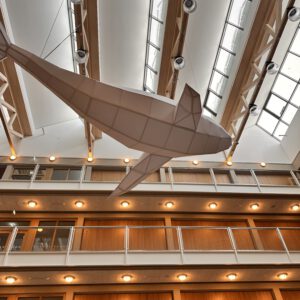 Blick von unten in die Aula des Schulneubaus mit einem hängendem weißen Wal